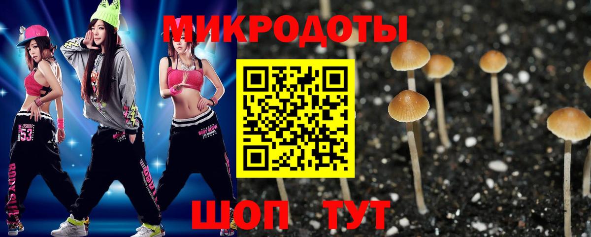 Псилоцибиновые грибы Cubensis Семилуки